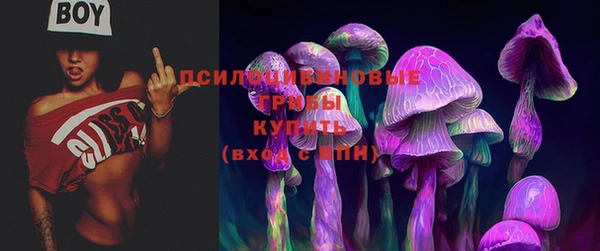ГАЛЛЮЦИНОГЕННЫЕ ГРИБЫ Заводоуковск