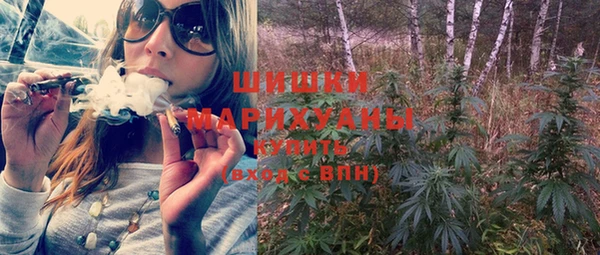 молекула духа Ельня