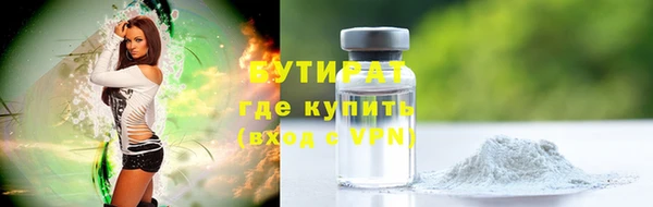 молекула духа Ельня