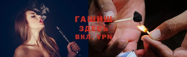молекула духа Ельня
