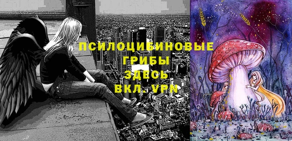 ГАЛЛЮЦИНОГЕННЫЕ ГРИБЫ Заводоуковск