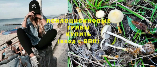 таблы Елизово